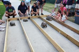 Chattanooga Zoo hosts Q ‘n Brew Saturday