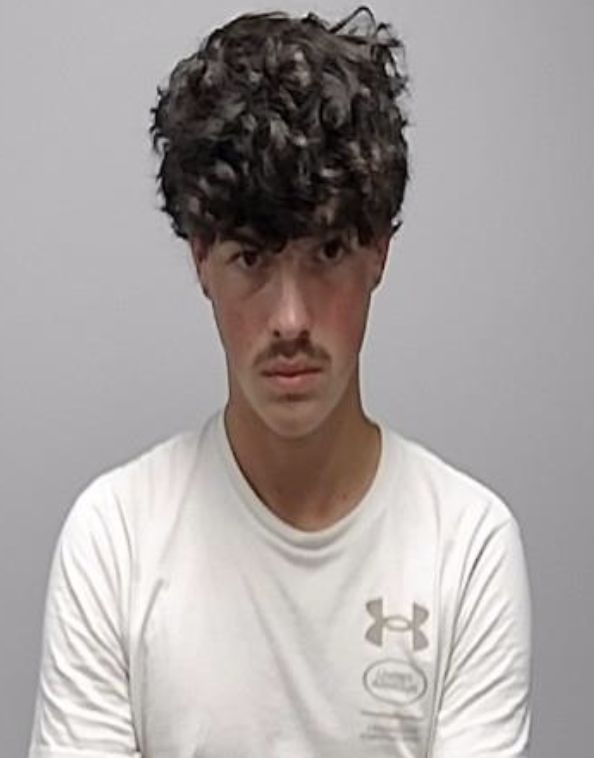 Georgia man arrested for allegedly pointing loaded gun at girlfriend ...