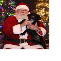 SPCa pets need homes 11-29-25