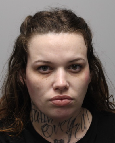 Dayna Crandall mugshot.png
