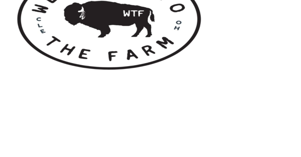 Forward Hospitality Group to collaborate with country star ...