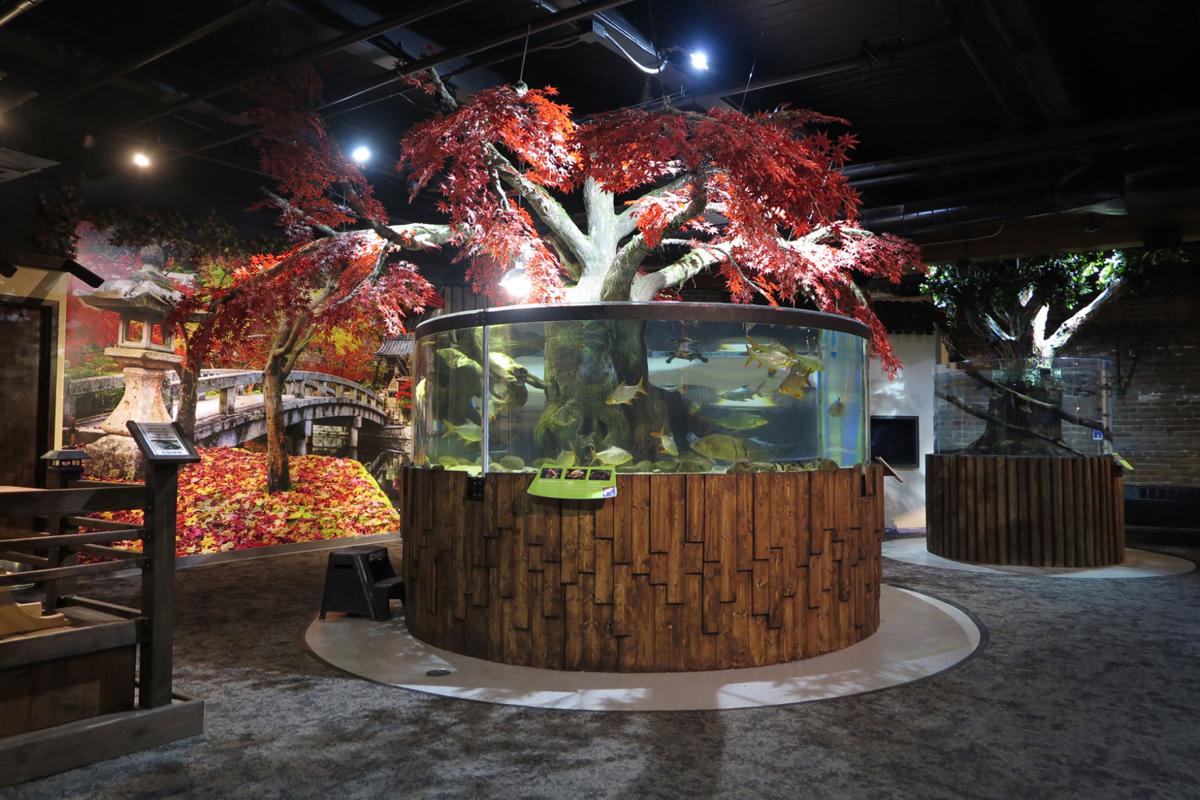 aquarium w h ets