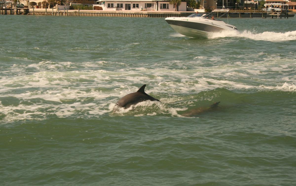 Casino Cruise St Pete Beach