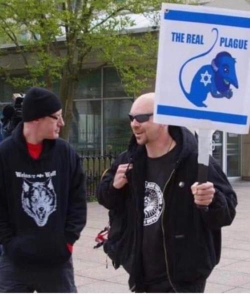 5e9d98eaac02d.image.jpg?resize=500,588