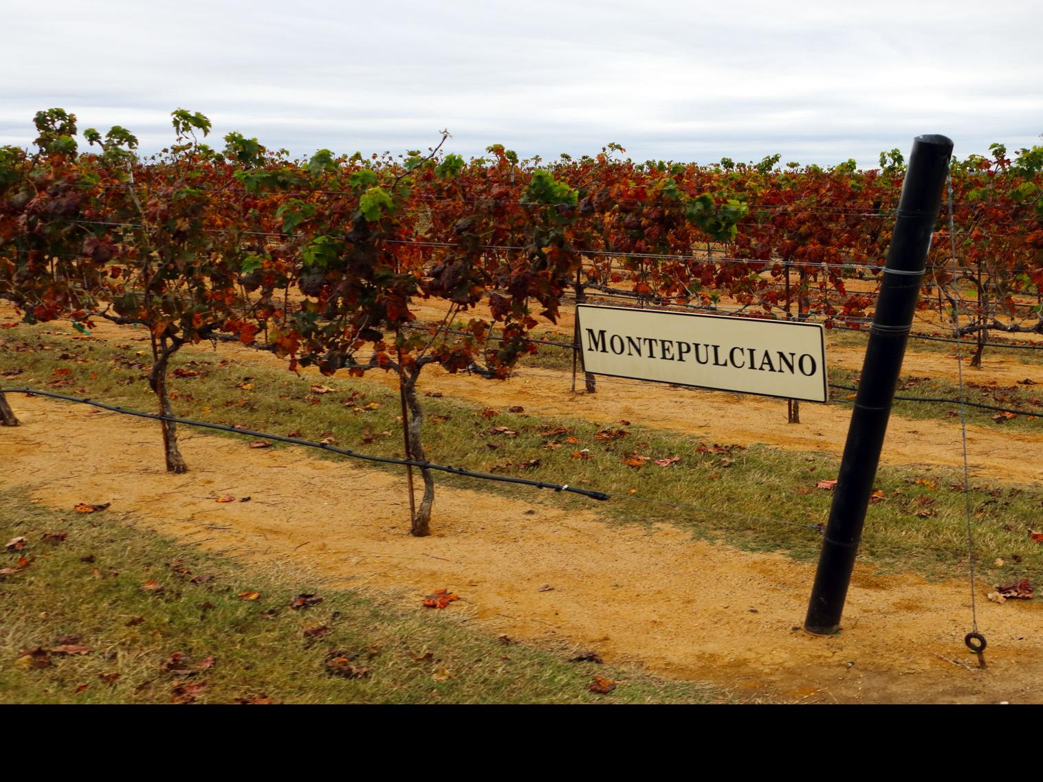 Fredericksburg Texas Destination Clevelandjewishnews Com