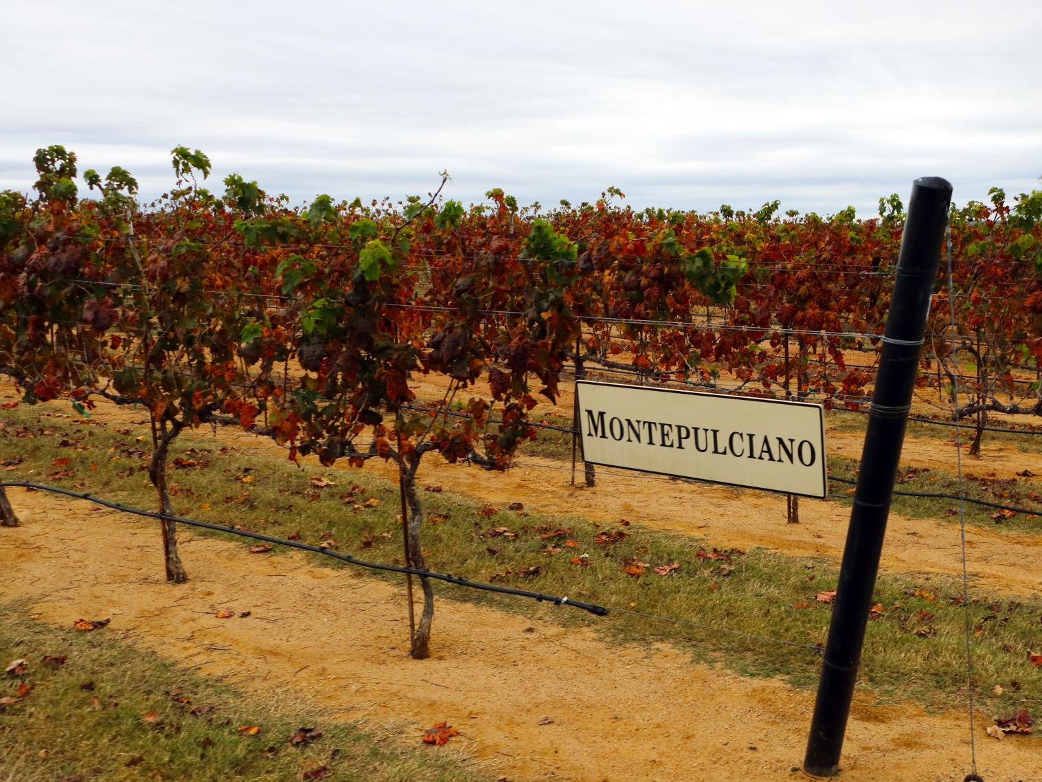 Fredericksburg Texas Destination Clevelandjewishnews Com