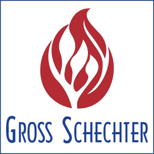 Greller named Gross Schechter Day School director of development