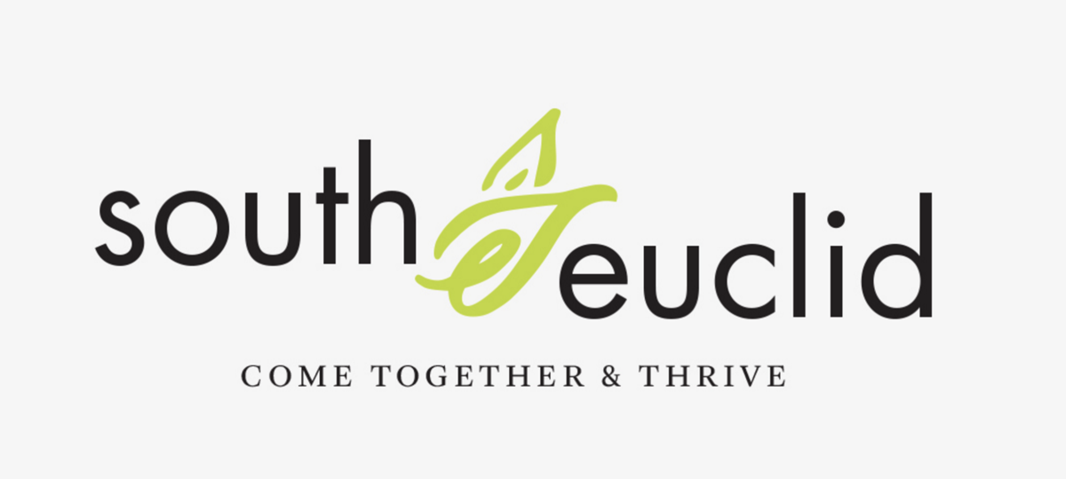 Welo Remains Mayor Council Changes In South Euclid Elections Clevelandjewishnews Com