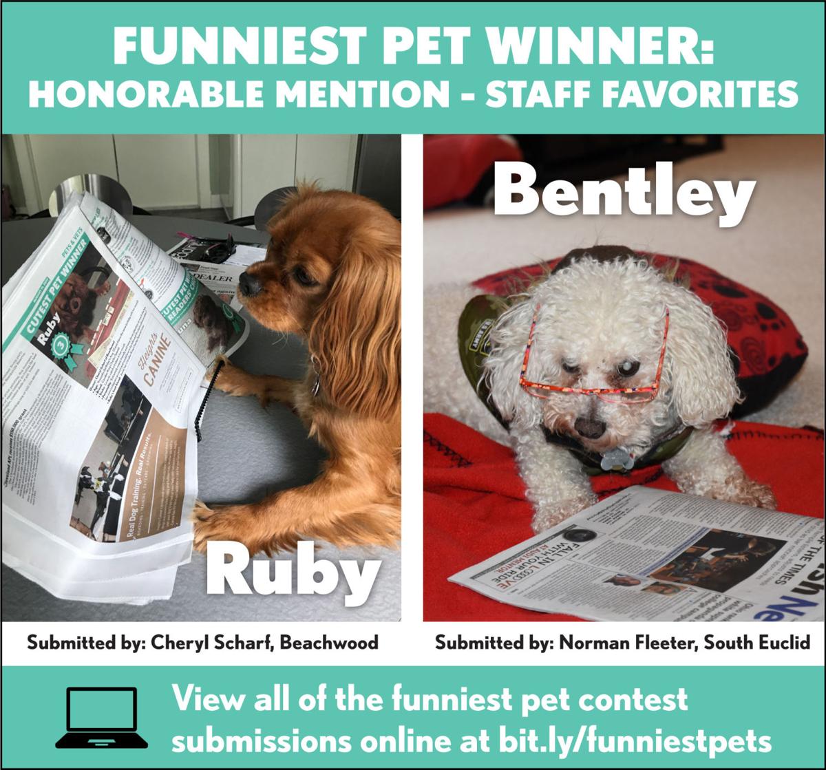 CJN Funniest Pet Contest Pets
