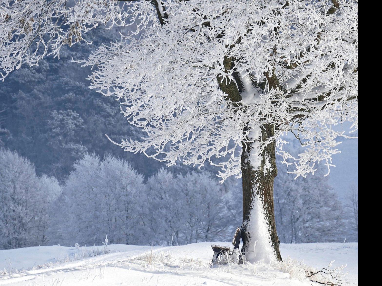 Seniors Feel Effects Of Winter Weather Boomer