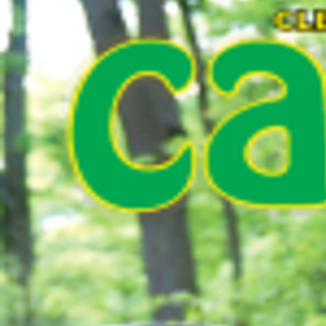2013 Camp Guide Listings Camp Clevelandjewishnews Com