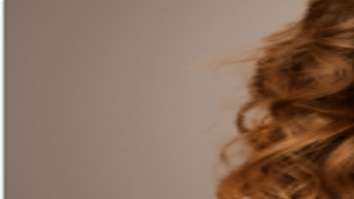 Dana Paris | Nurenberg, Paris, Heller & McCarthy | Profiles 