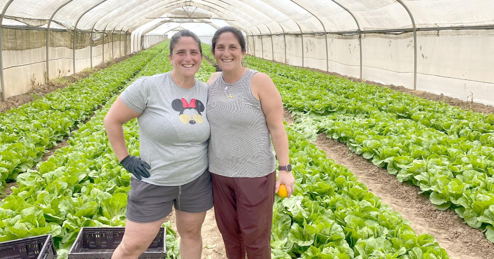 Former Orange woman's volunteer trip to Israel 'empowering' - Vimarsana News