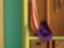 Jewish Stars 6/18 | Find this article in the CJN archive |  clevelandjewishnews.com, image size:1200x900