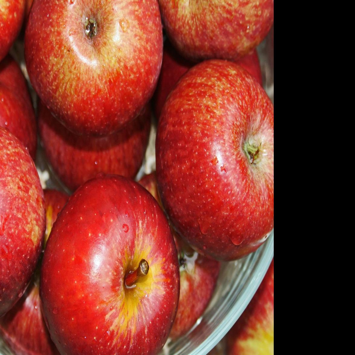Kosher Food Pantry Fresh Produce Giveaway Aug 4 Briefs