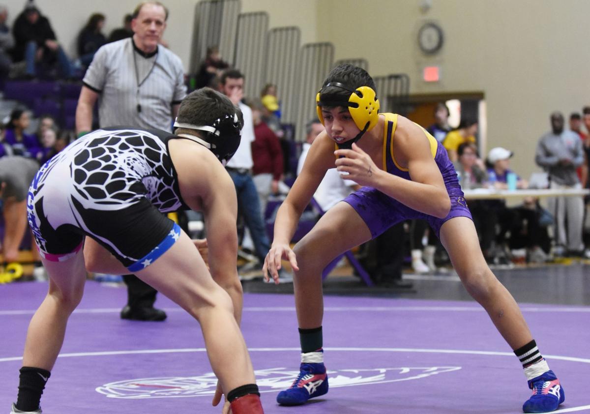 Clinton Herald AllArea Wrestling 2019 Sports