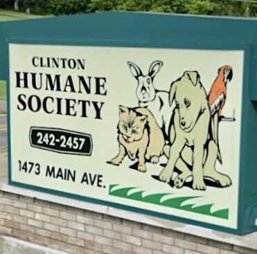 Clinton co hot sale humane society