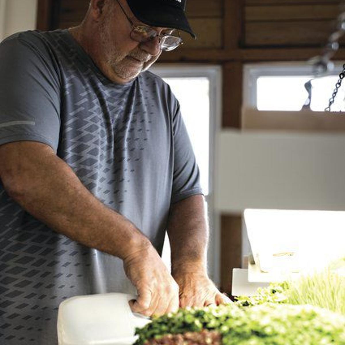 Going Green Skyline Center Adding Greenhouse Local News Clintonherald Com