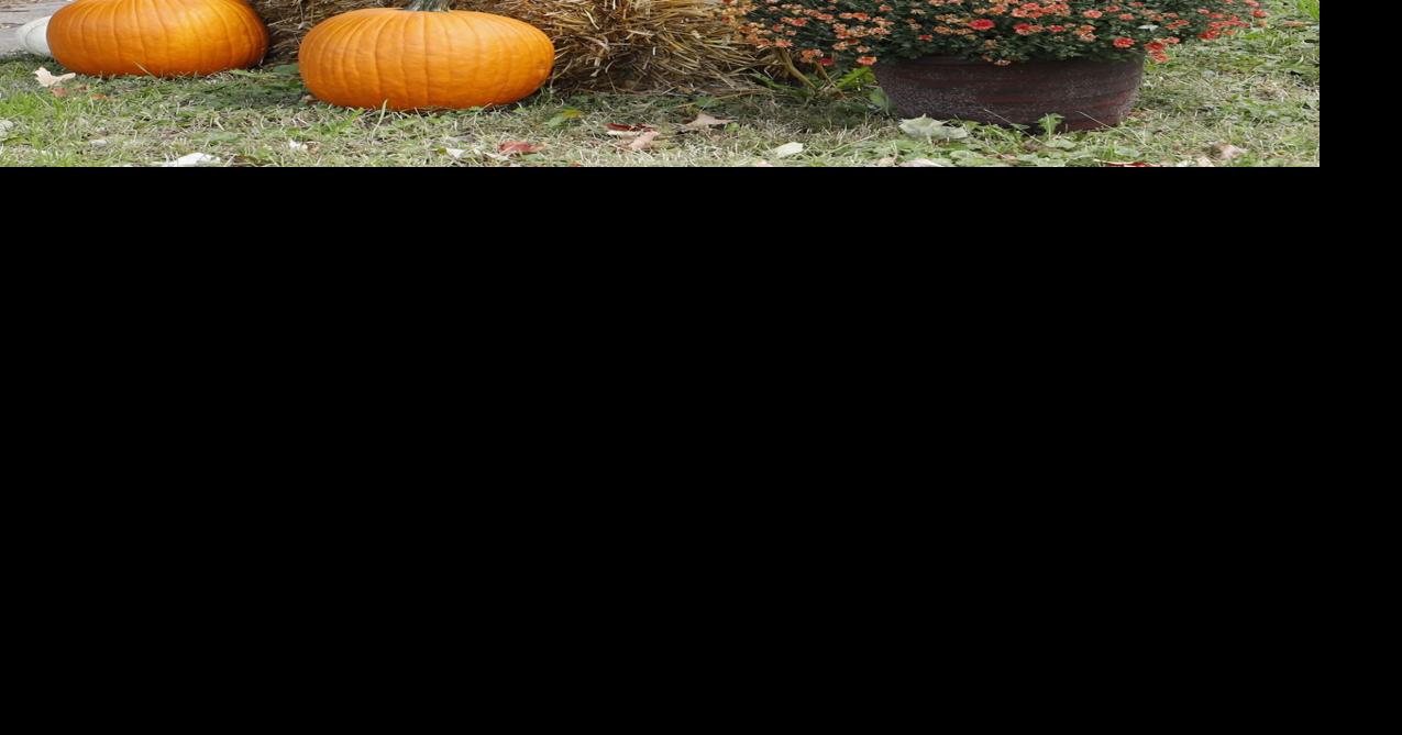 Clinton, Camanche will trickortreat tonight, Fulton celebrates