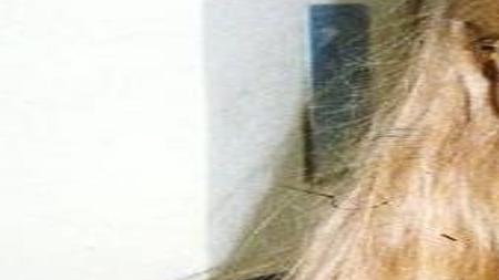 Burlington S Oldest Cold Case Continues To Baffle Investigators State News Clintonherald Com