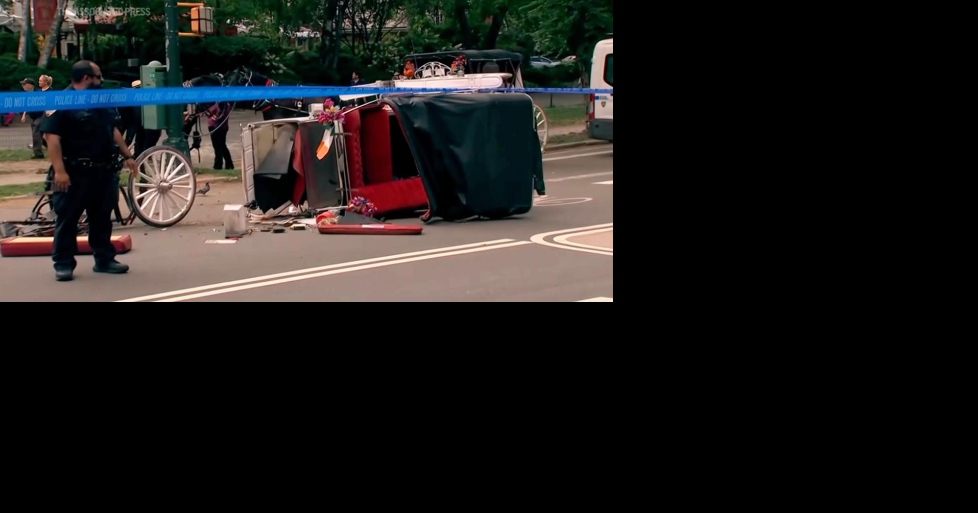New York mayor, other leaders push to ban horse-drawn carriage rides after Indian teen's death