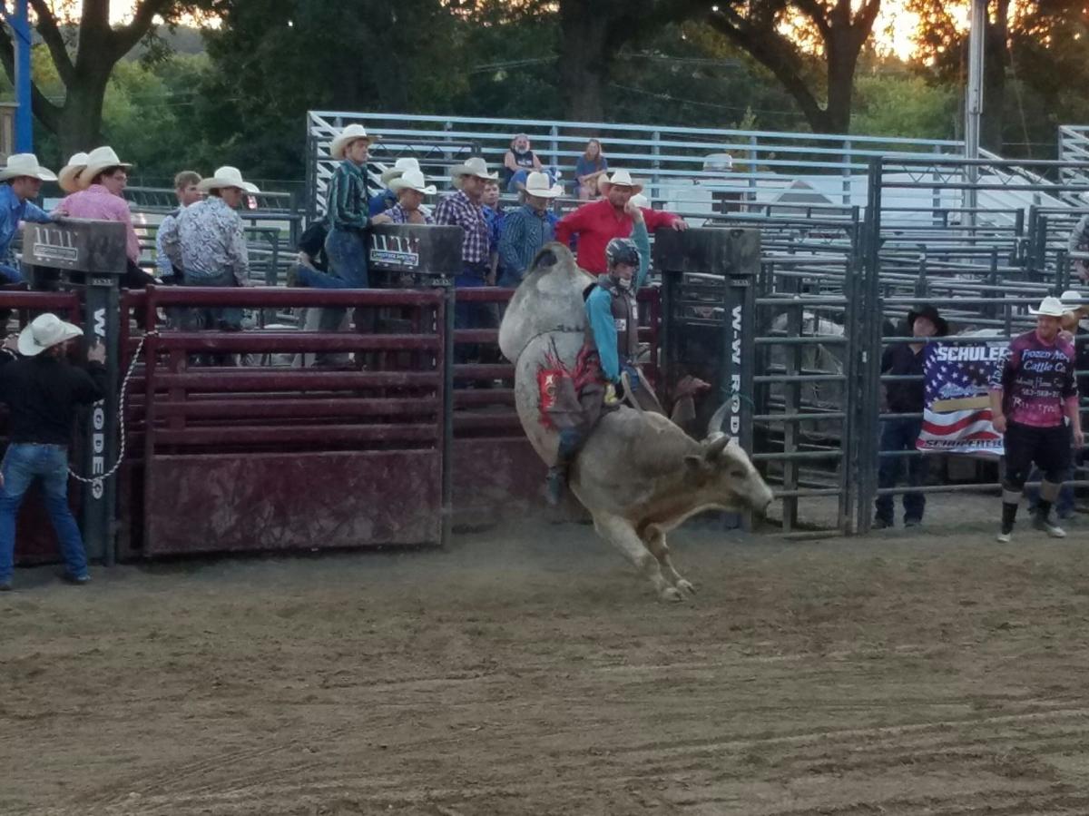 Whiteside County Fair accepts entries online Local News