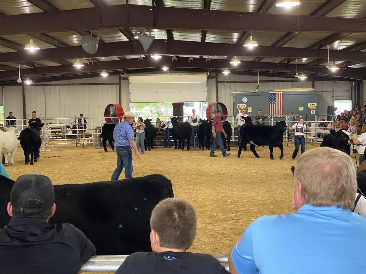 Clinton County 4h Fair 2022