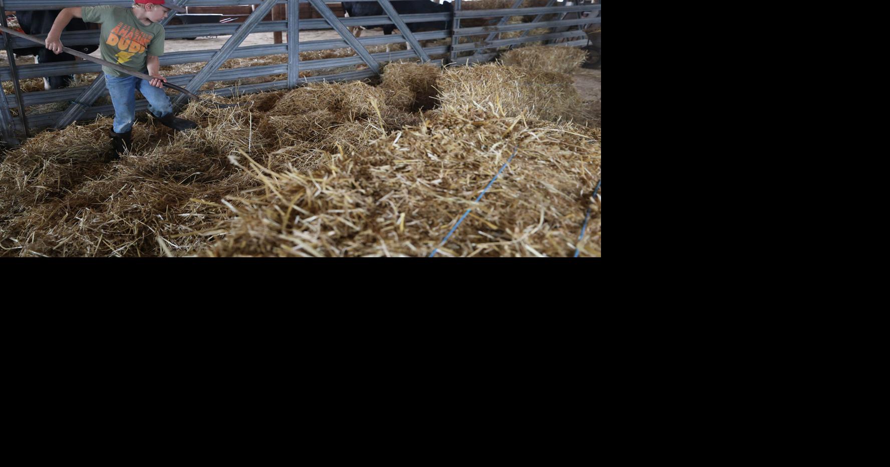 Working and playing at the Whiteside County Fair