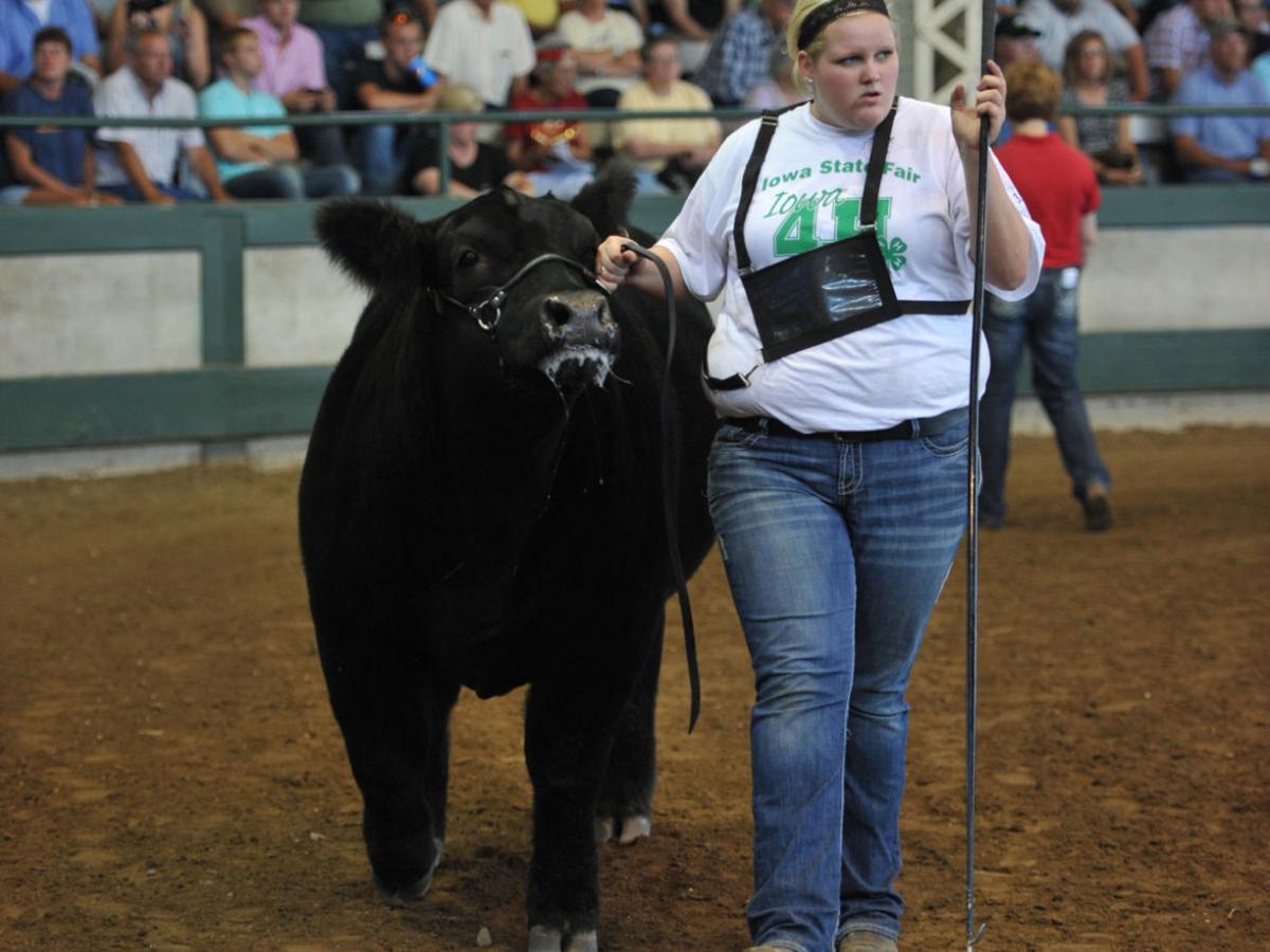 Iowa State Fair Livestock Crops Results News Clintonherald Com