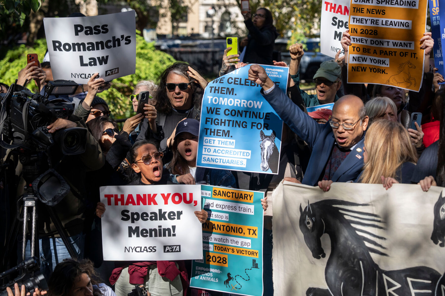 Central Park Horse Carriages | National News | clintonherald.com