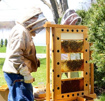 Andresen Workshop To Address Honey Extraction Winterizing Hives