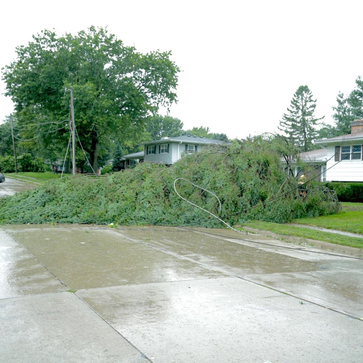 Storm Downs Trees Disrupts Power Local News Clintonherald Com