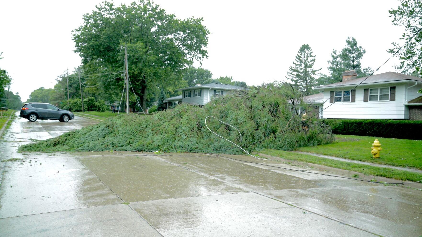 Storm Downs Trees Disrupts Power Local News Clintonherald Com