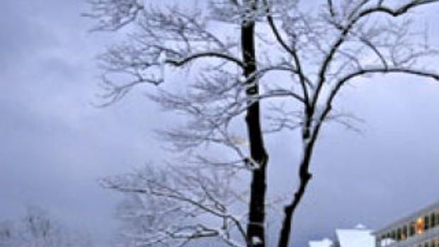 Christmas At The Bedford Springs Resort Is A Wonderful Life Archives Clintonherald Com