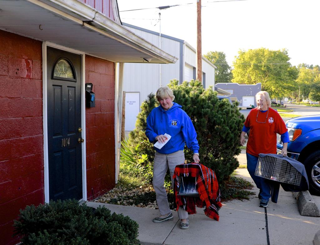Trap Neuter Return Decreases Feral Cat Population Local News