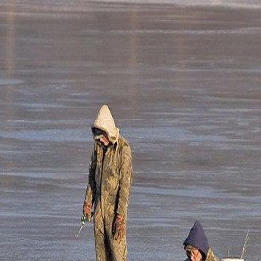 Where Do Fish Go In The Winter Time Local News Clintonherald Com
