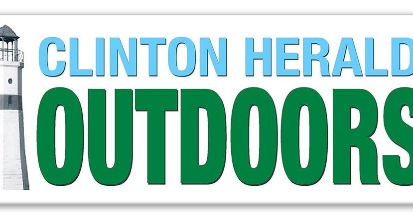 Canada geese test positive for avian flu in southwest Iowa