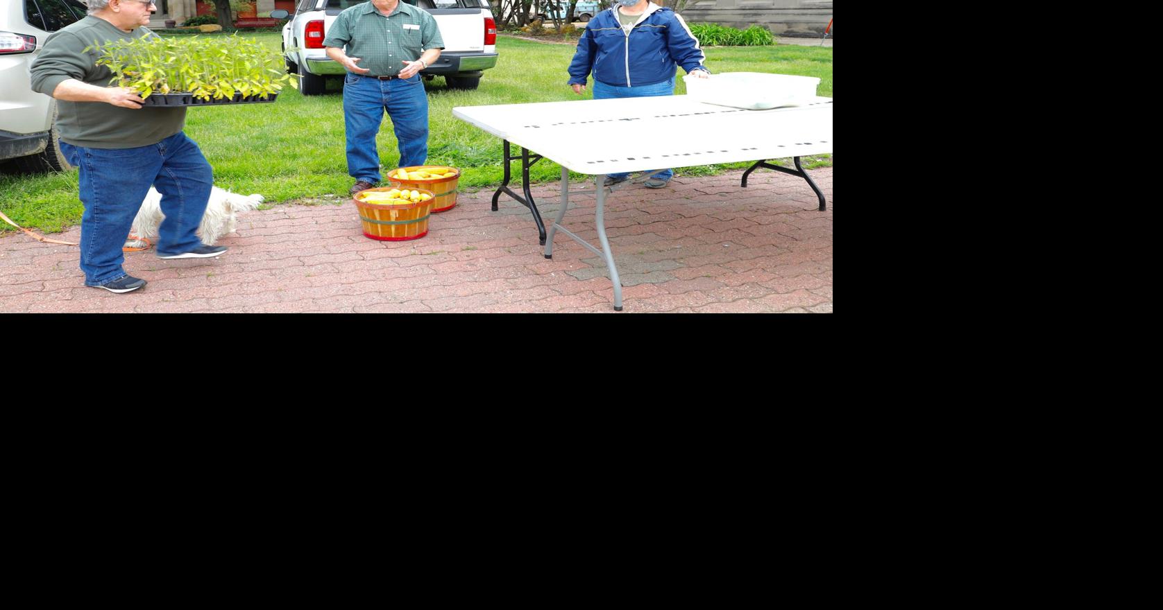 Farmers Market opens in Lyons Local News