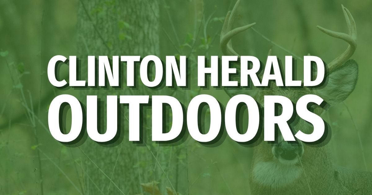 Special September teal season opens Sept. 5