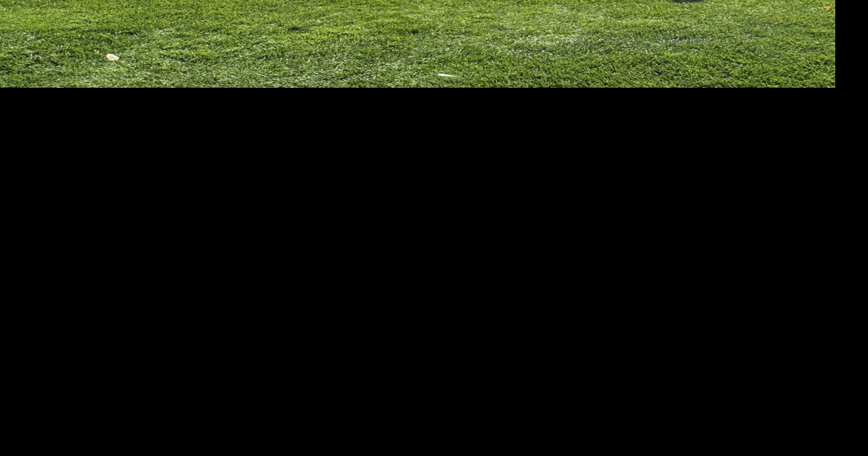 Steamers finish ninth in IHSA Class 1A golf tournament High School