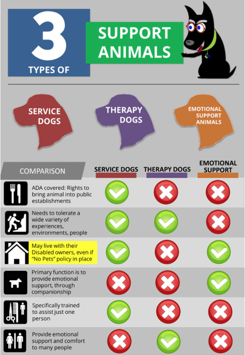 Iowa Service Dog In Training Laws Iowa Service Dog In Training Laws