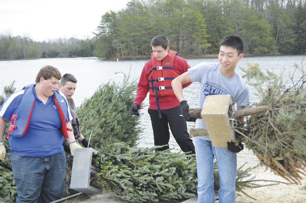 Students sink Christmas trees at Ky. lake as gift to fish populations