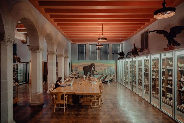 MuseumofNaturalHistory_NWOSU_HighFiveMedia_7Q6A2452.jpg