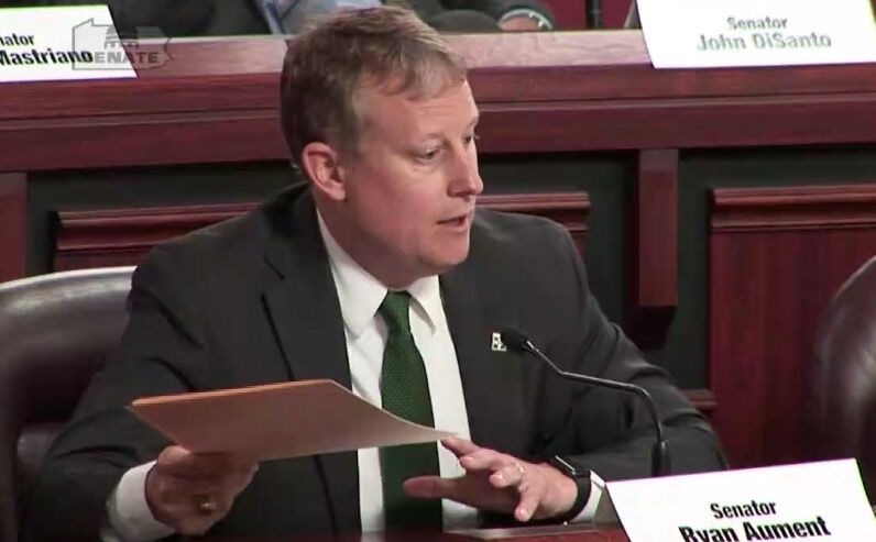 Senate GOP, Dems split on bills targeting explicit content, gender identity in schools
