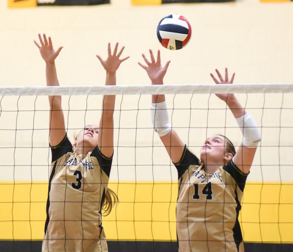 0826 girls vb wood warren - wood3 14.jpg