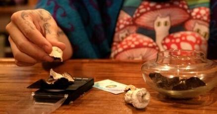 Study tests psilocybin to fight cancer side effects