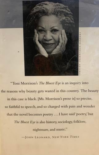 BLACK HISTORY MONTH: Black authors keep history alive amid efforts to ...