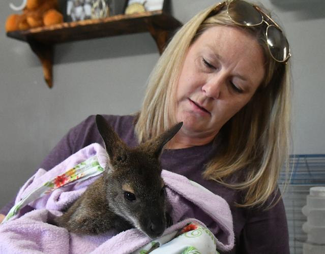 NorthCentral Oklahoma petting zoo striving to help people CNHI