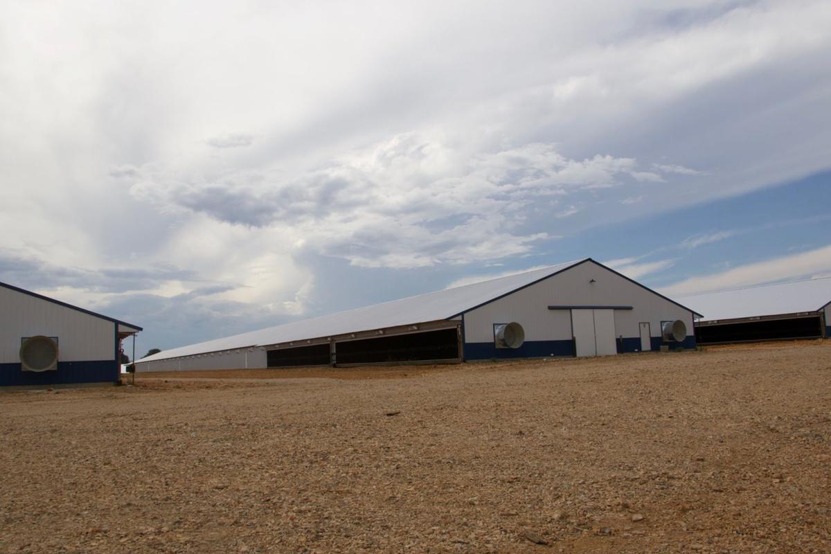 Department Of Ags Proposed Poultry Setback Rules Still Alive