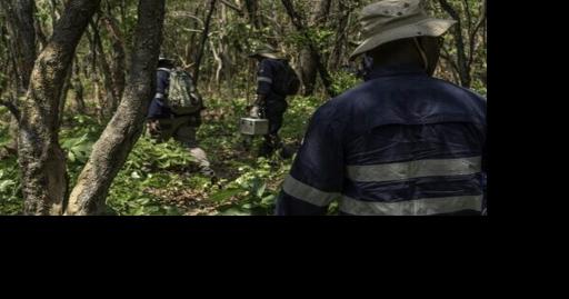 Miner KoBold bets on AI to gain edge in DR Congo mineral hunt